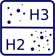 H2/H3